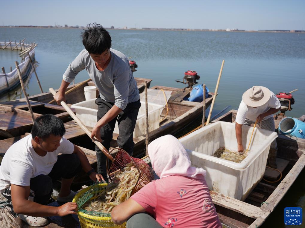 牛牛游戏正版下载